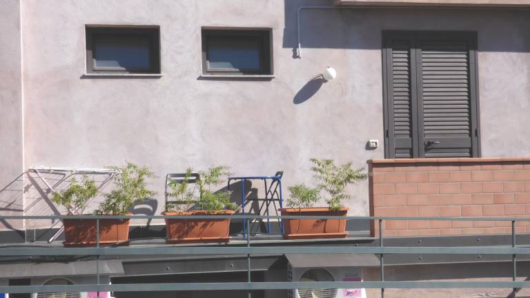 foto6