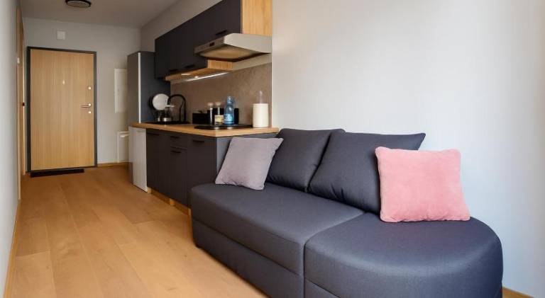 Holiday apartment with 1 room for 3 persons in Vilnius
