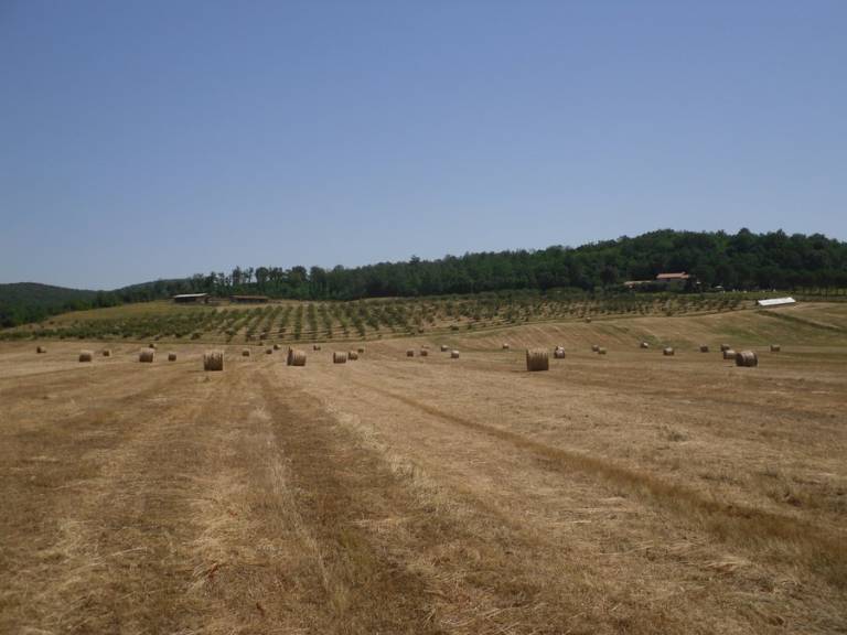 foto41
