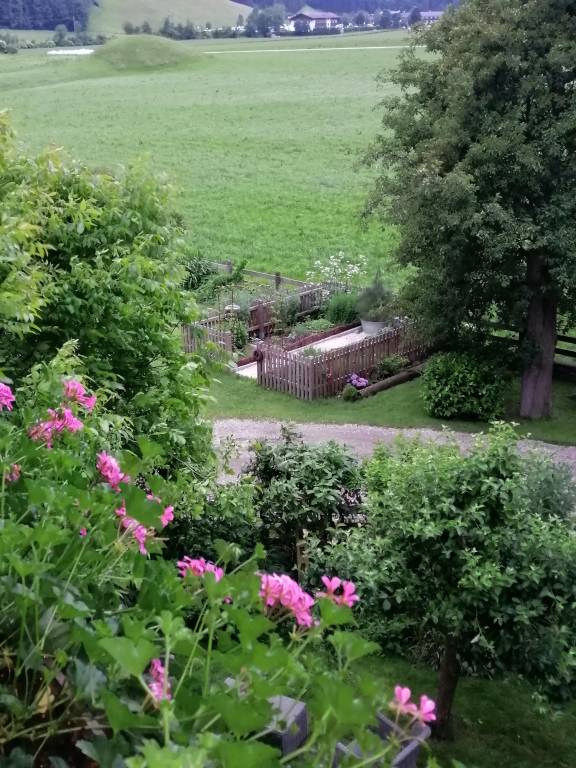 foto32