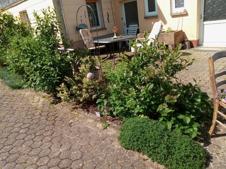 foto15