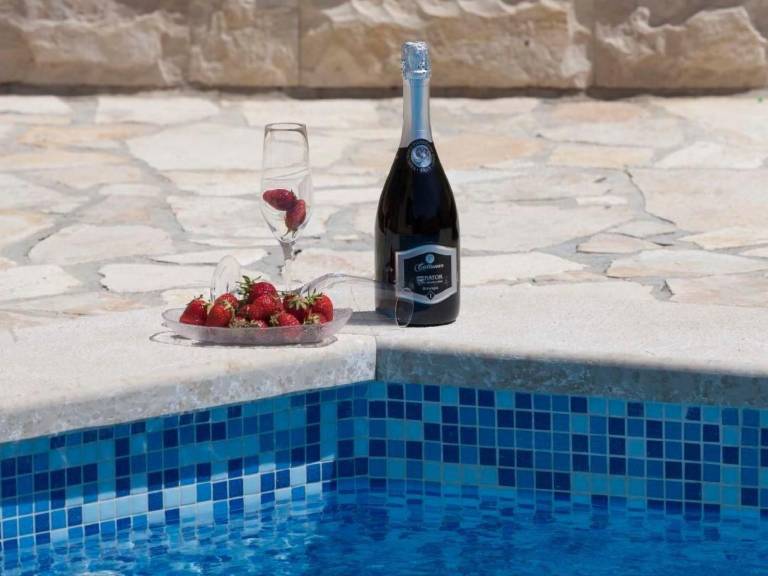 Beautiful vacation home with barbecue, garden & private pool | Nature view | Dogs allowed — photo 5