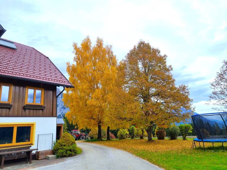 foto23