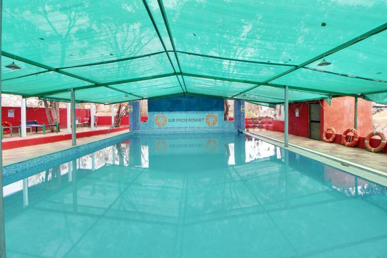 Gir Pride Resort — photo 2