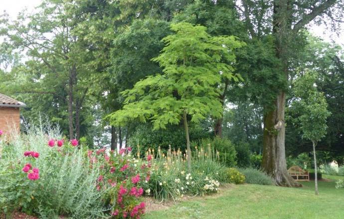 Fully equipped gite with barbeque, pool & garden | Pets allowed — photo 5