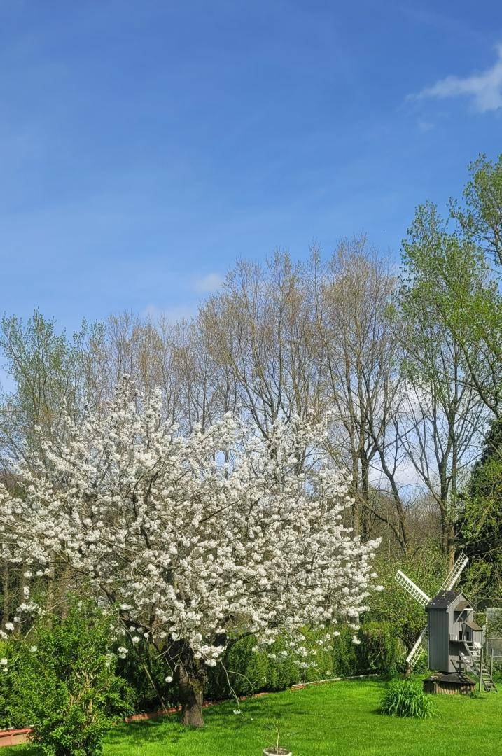 foto42