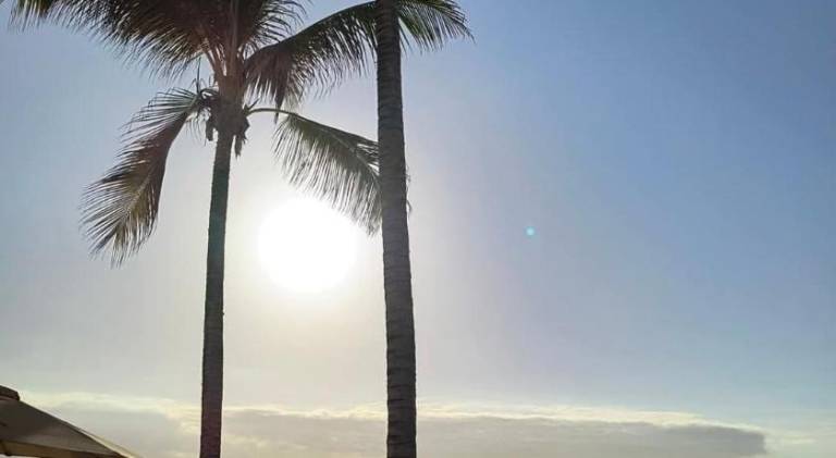 Rental apartment | Perfect for remote work in Las Palmas de Gran Canaria