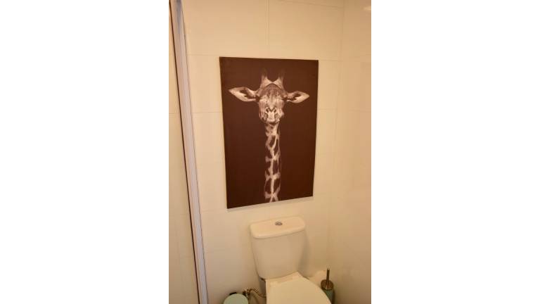 foto1