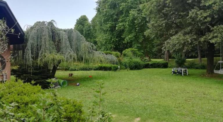 foto17