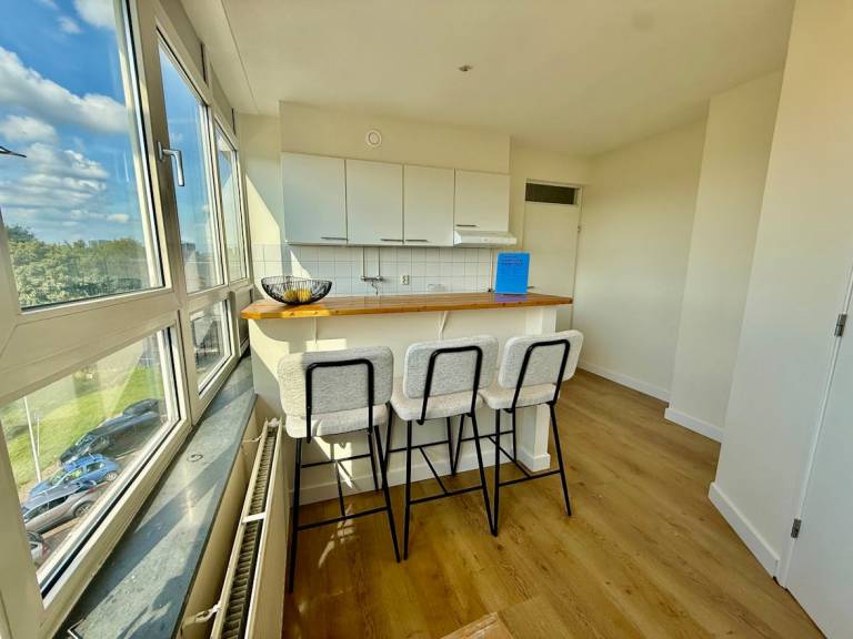 Beautiful rental apartment | Pets are welcome — photo 4