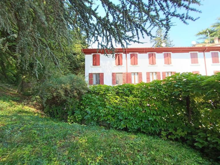 foto19