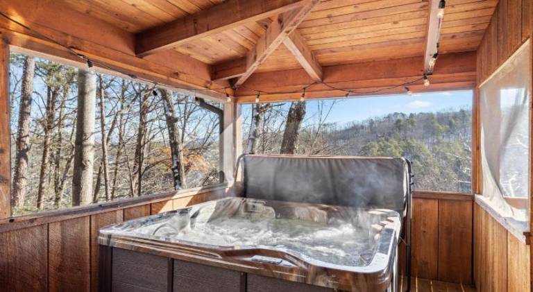 Vacation home with jacuzzi — photo 5