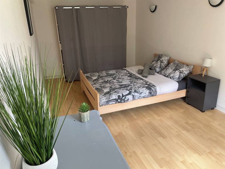 Appartement Pibrac