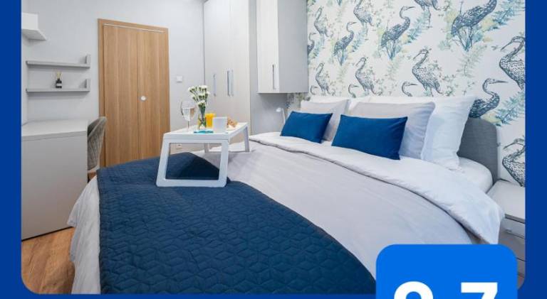 Rental apartment | Pets allowed in Katowice