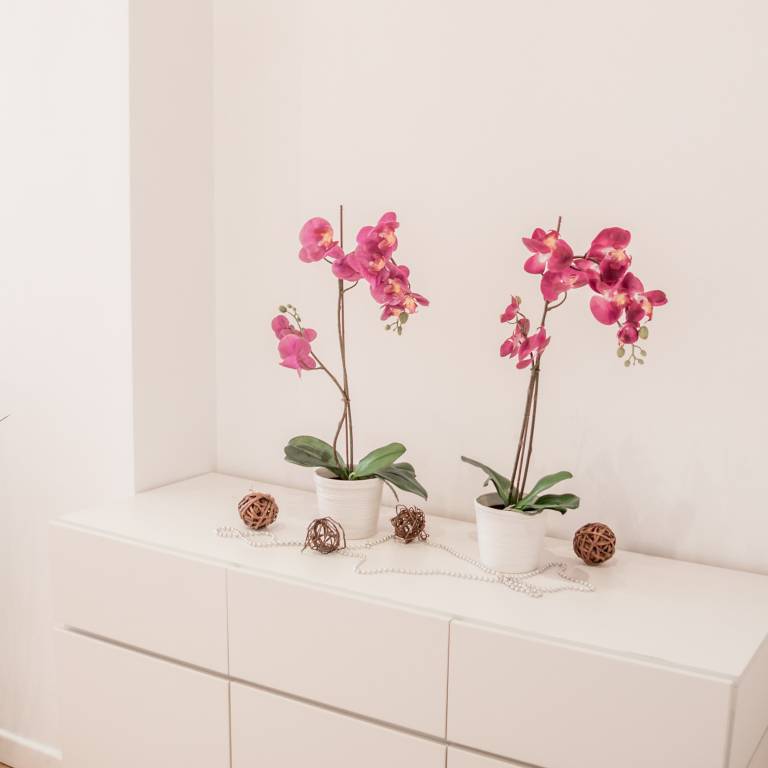 foto30