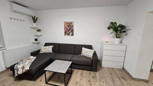 Apartmán Hamuliakovo