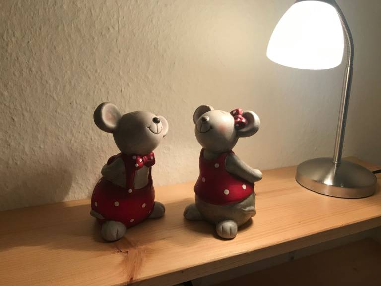 foto12