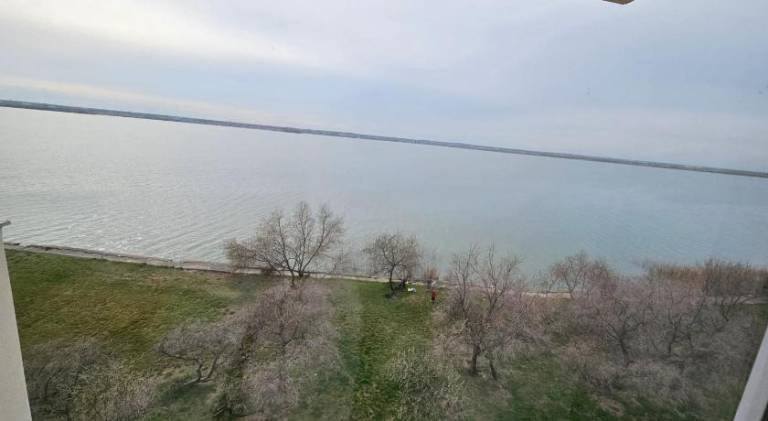 Beautiful rental apartment | Next to the beach | Pets are welcome — photo 4