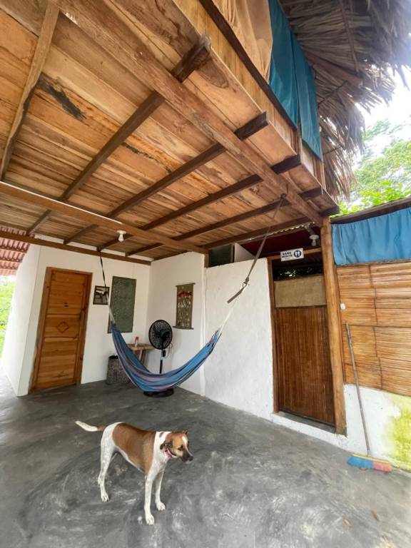 Ipqua Hostel — photo 3
