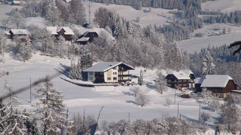 Ferienwohnung Afritz am See