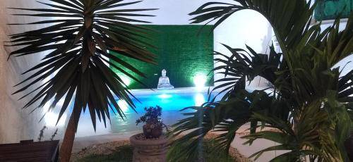 foto8