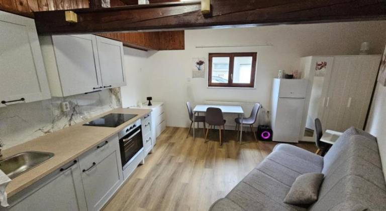 Beautiful apartment | Dogs allowed in Ljubljana