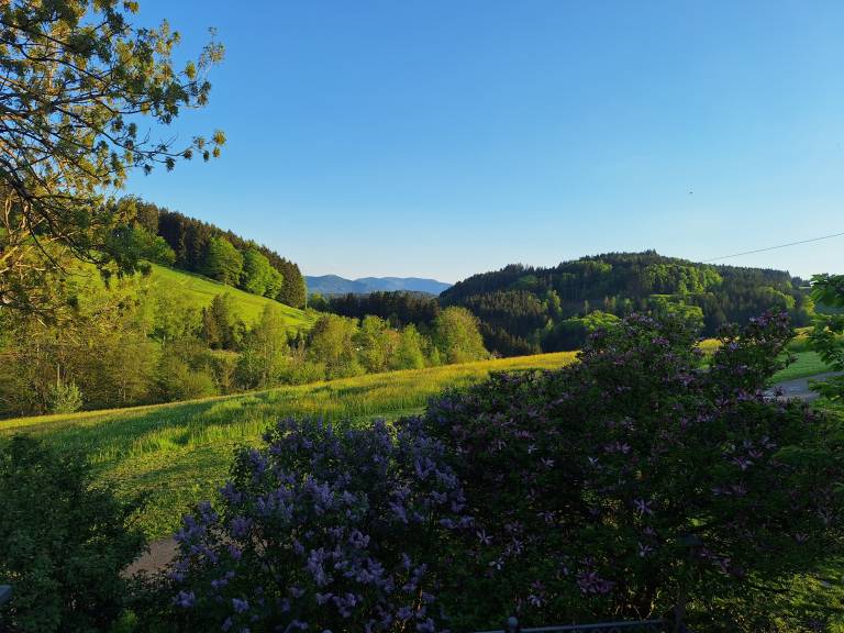 foto11