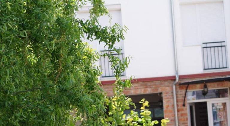 Apartman Sitke
