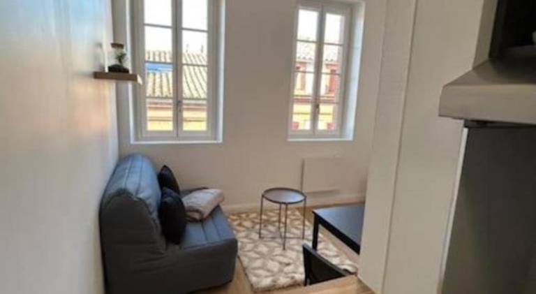 Holiday apartment | Next to Capitole de Toulouse — photo 3