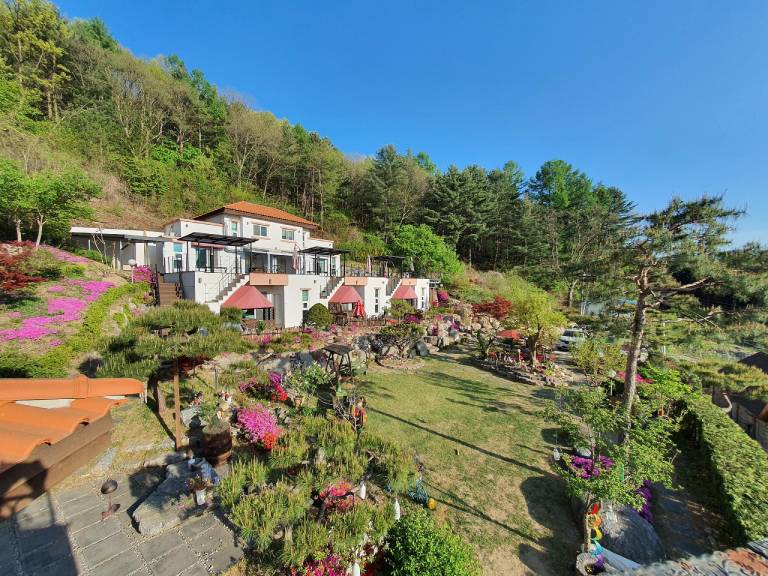 foto3