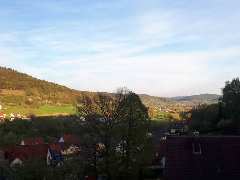 foto43