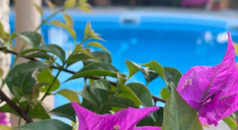 Fully equipped ample villa with private pool, yard & patio | Suitable for remote work | Pets are welcome in Sithonia
