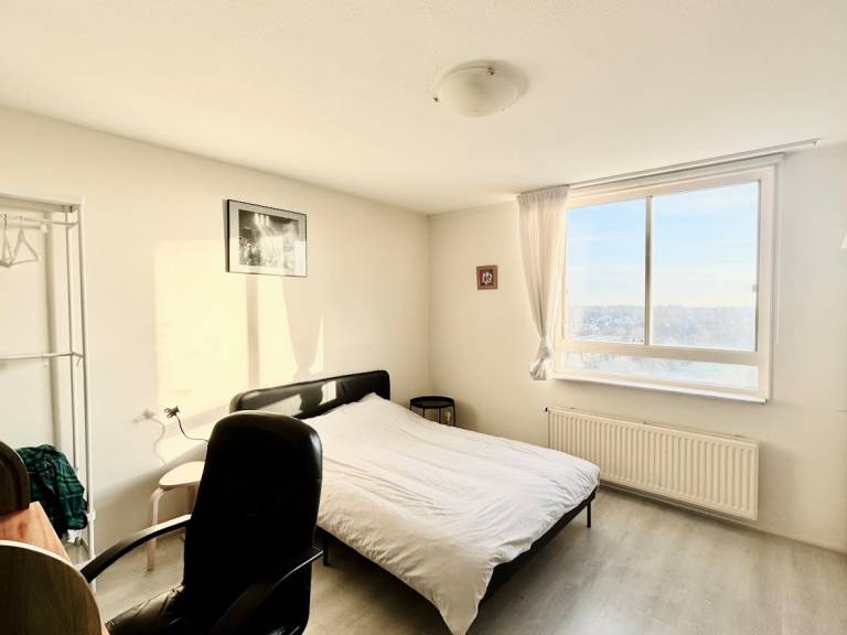 foto7