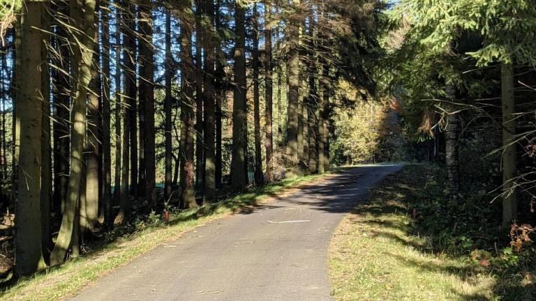 foto6