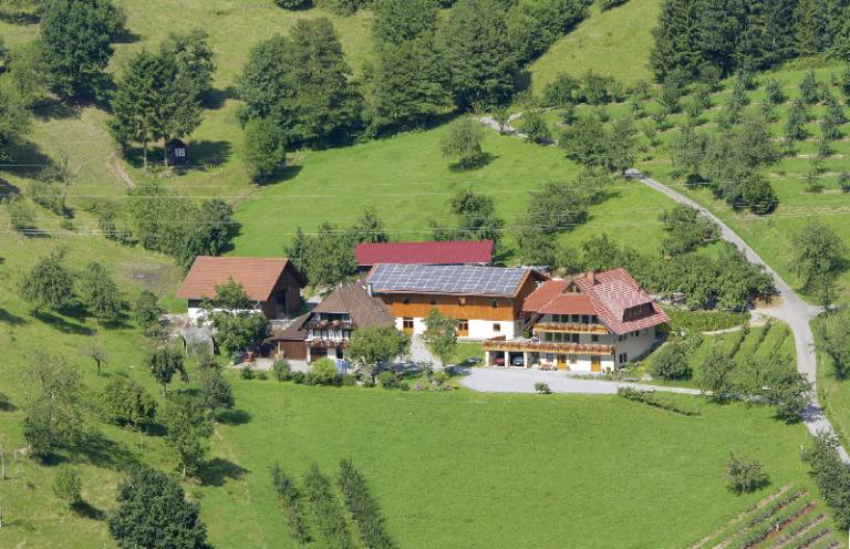 foto6