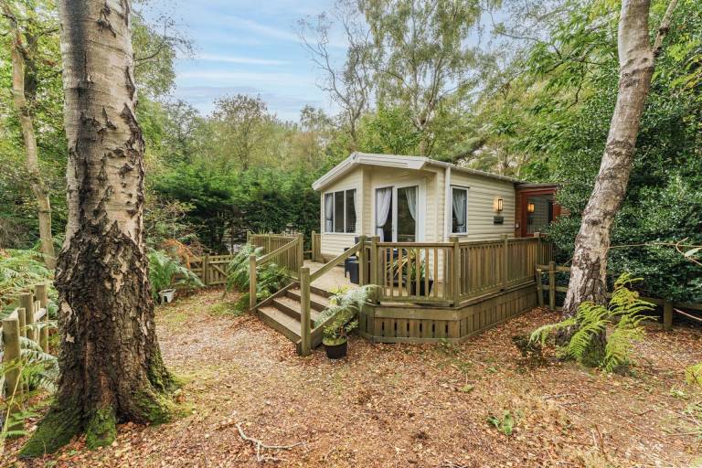Cabin Weybourne