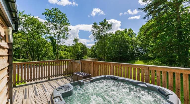 Chalet with jacuzzi in Newton Stewart