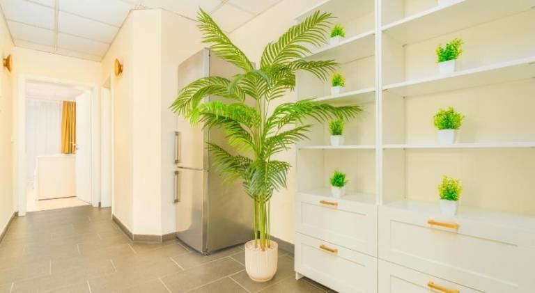 Spacious apartment | Pets are welcome — photo 3