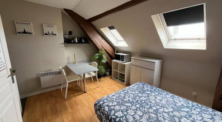 Apartment with 1 room for 2 persons in Dijon