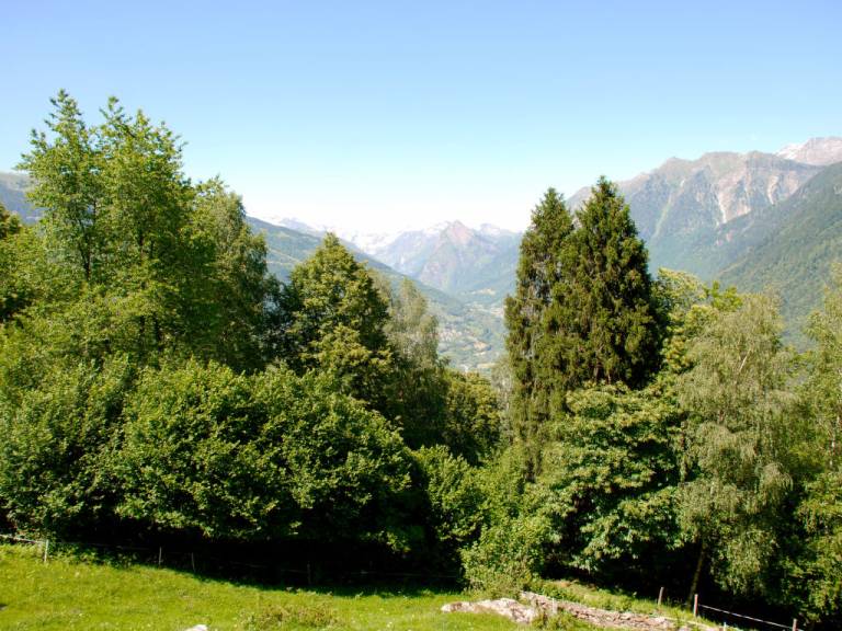 foto21