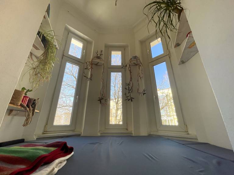 foto2