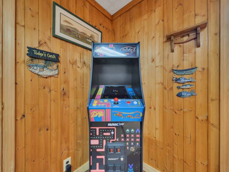 Pet-Friendly Hot Tub Fireplace Game Room — photo 3