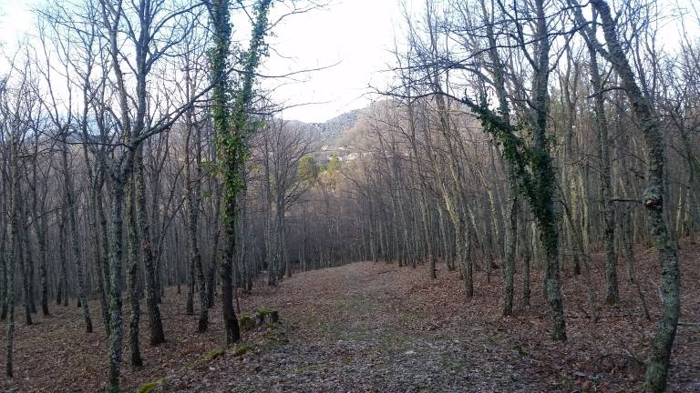 foto47