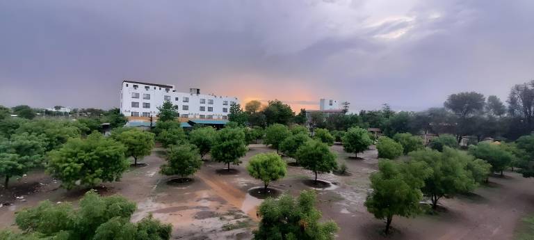 foto41