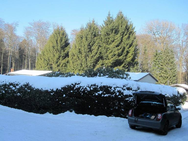 foto19