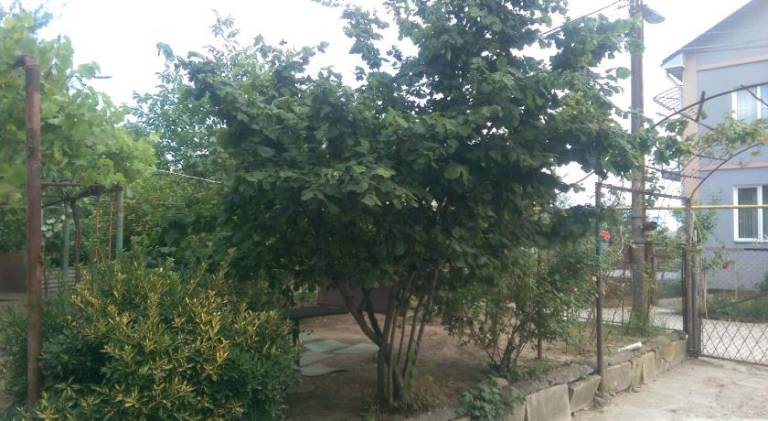 foto35