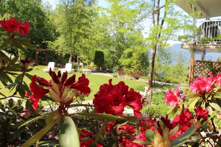Bed and breakfast Sorrento
