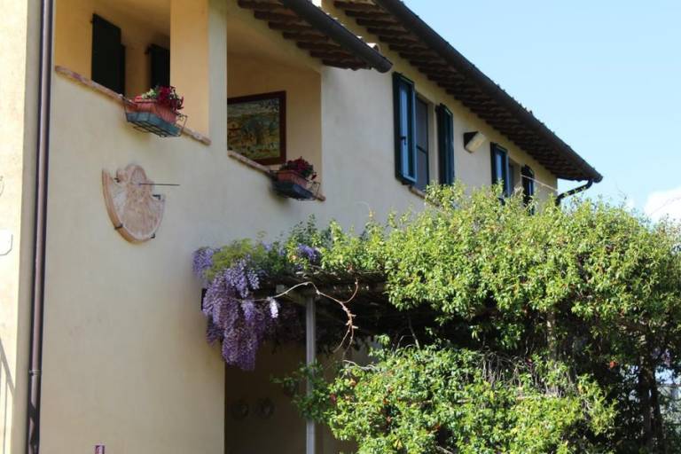 La Fonte: OLIVO C 3/4 posti — photo 2