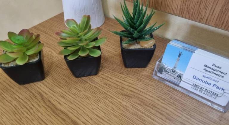 foto16