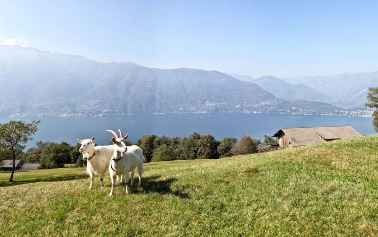 foto33